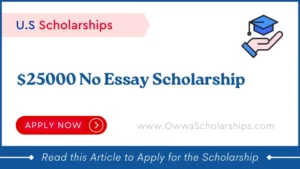 $25000 No Essay Scholarship